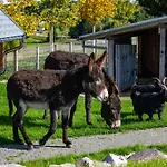 Apartman Michelehaeusle