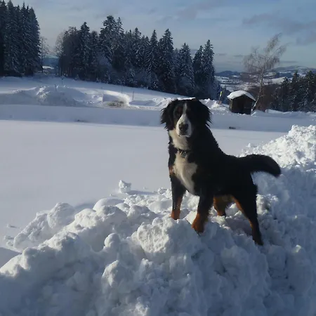 Apartment Michelehäusle *