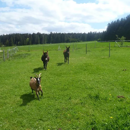 Michelehaeusle Sankt Märgen