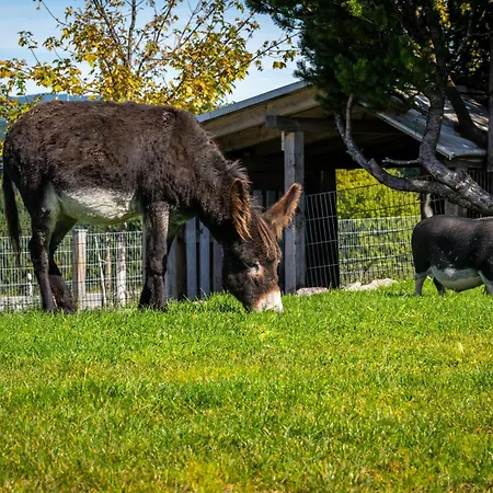 Michelehäusle Apartment Sankt Märgen