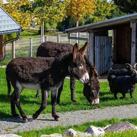 Michelehäusle Apartment Sankt Märgen