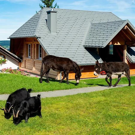 Apartman Michelehaeusle