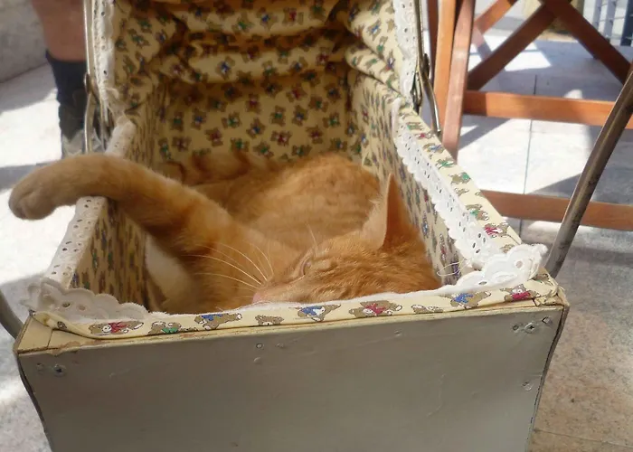 Appartement Michelehaeusle *