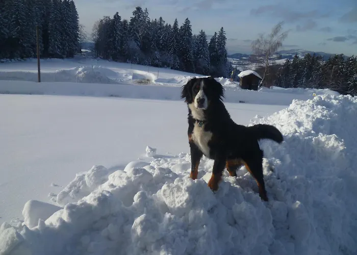 公寓 Michelehaeusle *