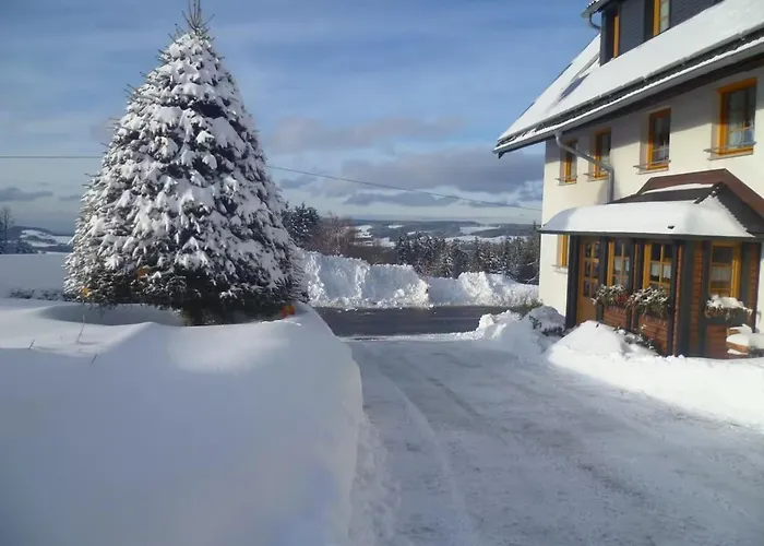 Michelehaeusle Appartement Sankt Märgen