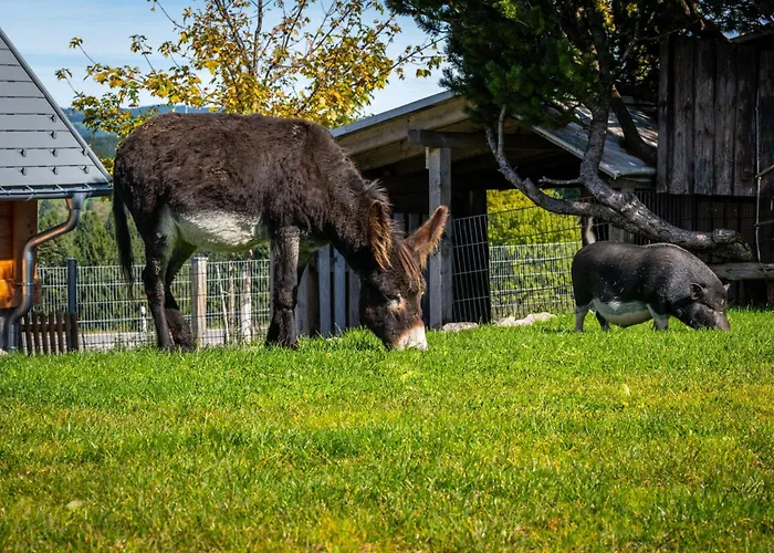 Michelehaeusle Appartement Sankt Märgen