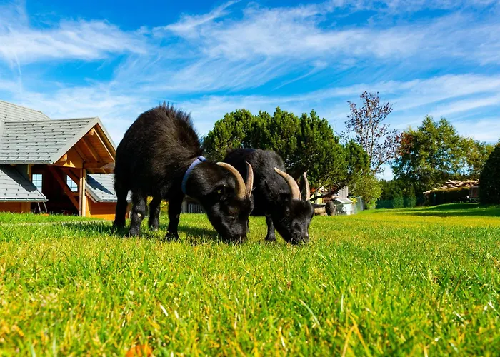 Michelehaeusle Appartement